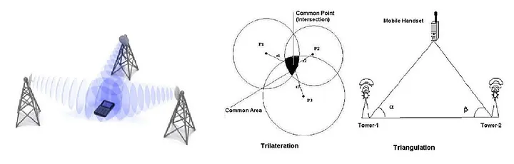 EcoWatch Illustration by Devon Galley