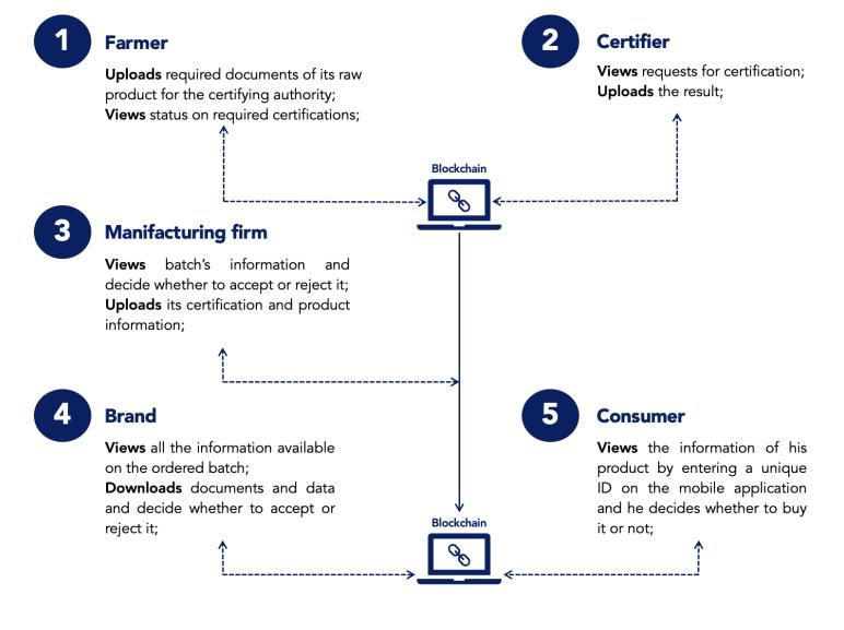 Complex food supply chain from farm to consumer