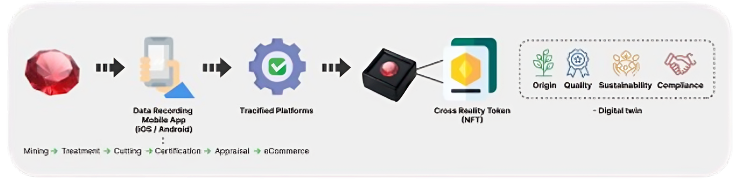 tracified process